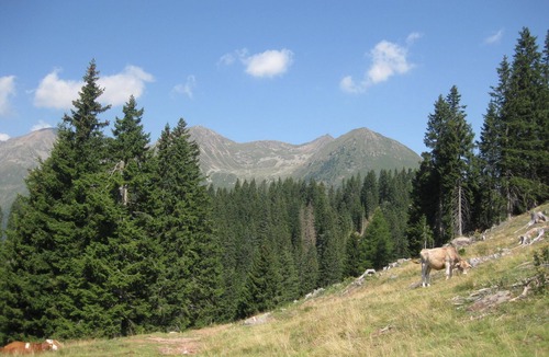 Parcines Apartment | Vacation apartment/apartment for 5 guests with 65m² in Parcines (145633)