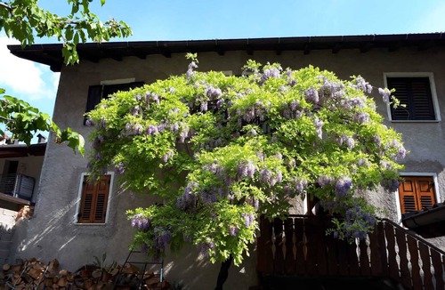 Rovere della Luna Apartment | Vacation home in the heart of Trentino-Alto Adige