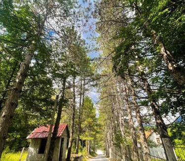 Razem Villa | Vila Alpini