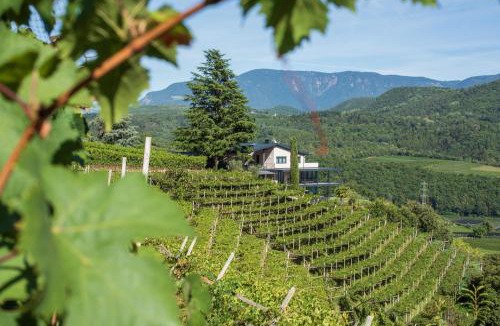 Caldaro Sulla Strada del Vino Cabin | Villa Barleit