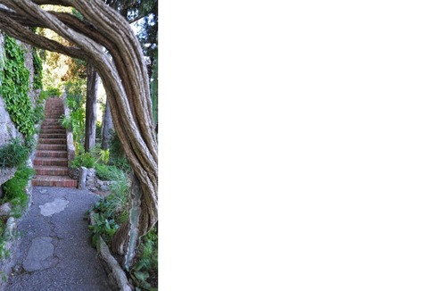 Ravello Villa | Villa degli artisti Gorgeous Villa in Ravello with Sea access, stunning views