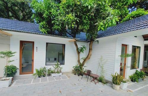 Hoa Lu Apartment | Vivian riverside cottage - Ninh Bình