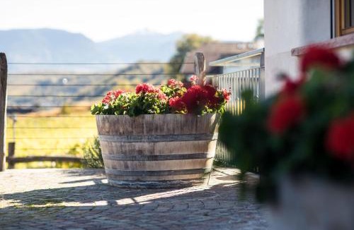 Unterrain/Riva di Sotto House | Weingut Donà