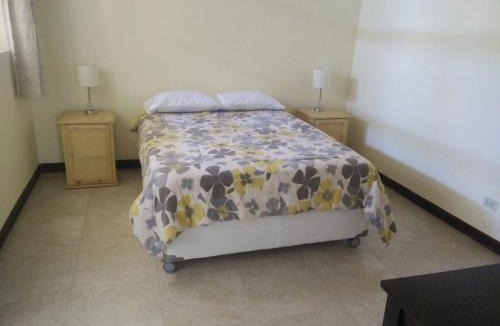 Huacachina Hostel | Wild Olive Guest House