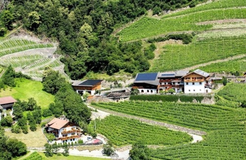 Cortina Sulla Strada del Vino Apartment | Winery Hofer Hof - APP. Veltliner