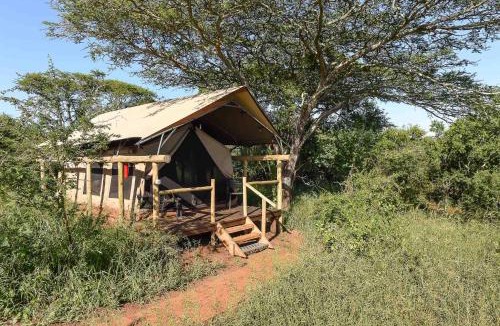 Hluhluwe Other | Zululand Lodge