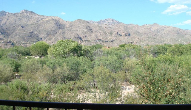1 Bedrm/Den with Fantastic Mountain Views-Open floor plan- King bed in Master