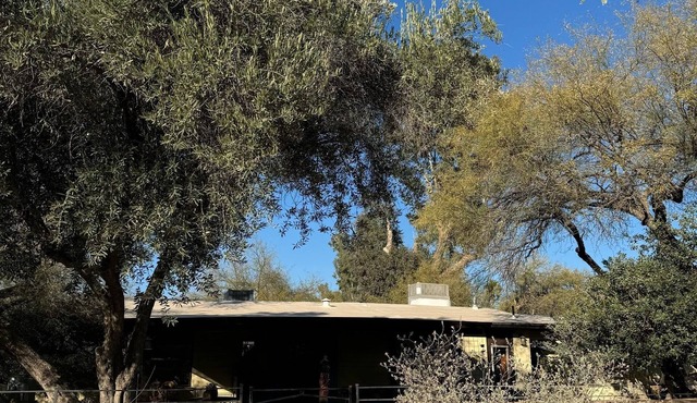 3 BR adobe home , horse friendly, pool, jacuzzi,pet friendly.