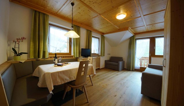 Apartment 'Agriturismo Grones' with Mountain View, Shared Terrace and Wi-Fi