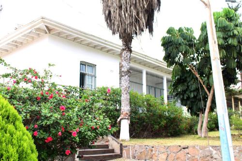 Apartment in Ancon