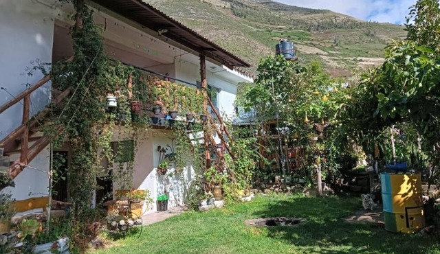Art House Samiluce