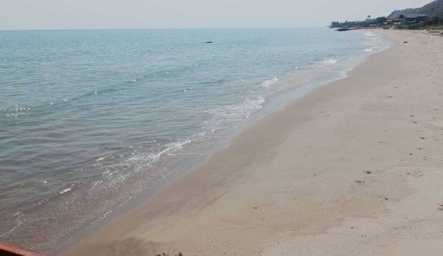 Beach house in Zorritos with ocean view, family friendly and pet friendly.