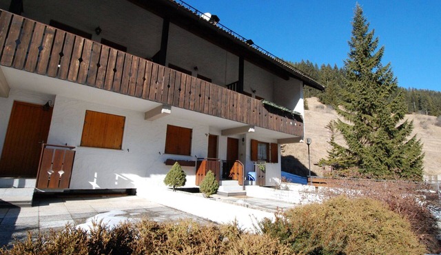 Beautiful apartment for 4 people with TV, terrace and pets allowed
