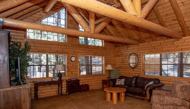 Beautiful Log Cabin on an acre in the tall pines with fenced yard for dogs!