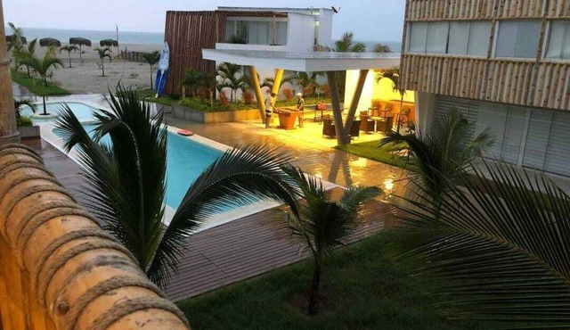 Bocapan palm trees