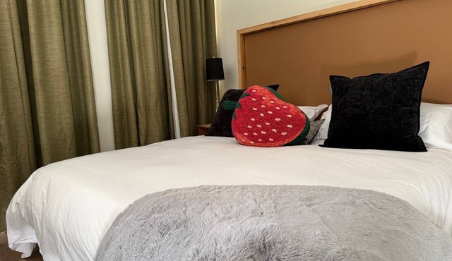 Boutique hotel near street car and convention center
