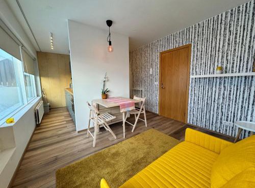 Bright & Cozy Central Studio
