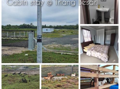 Cabin stay Triang Besar