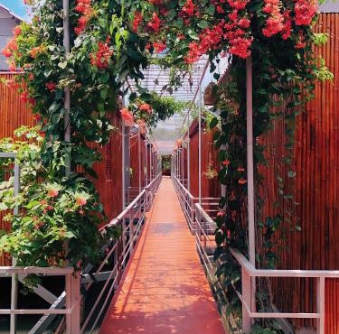 Cato Homestay