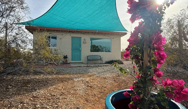 Charming Gated Tiny House on 2 Acres! Towering Saguaros, Endless Trails!