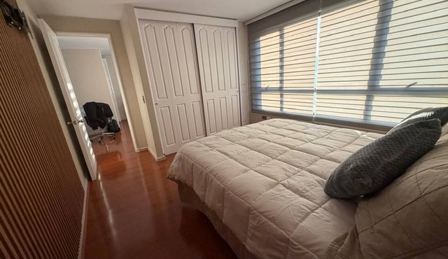 Comfortable and cozy apartment 5 minutes from the Costanera Center.