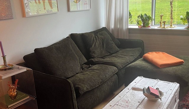 Cosy apartment in the westside of RVK, very close to downtown RVK