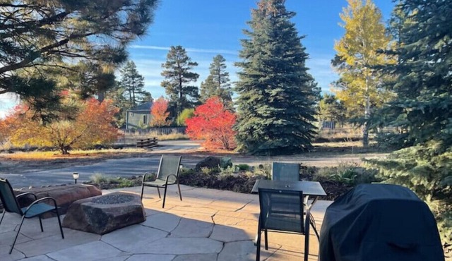 Cottage with a stone fire pit and pet friendly!
