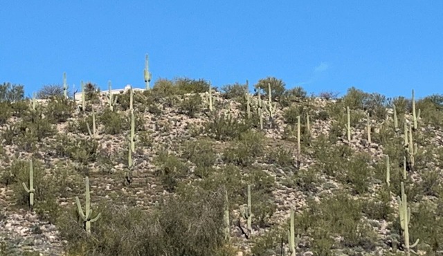 Cozy Casita - BEST LOCATION in TUCSON