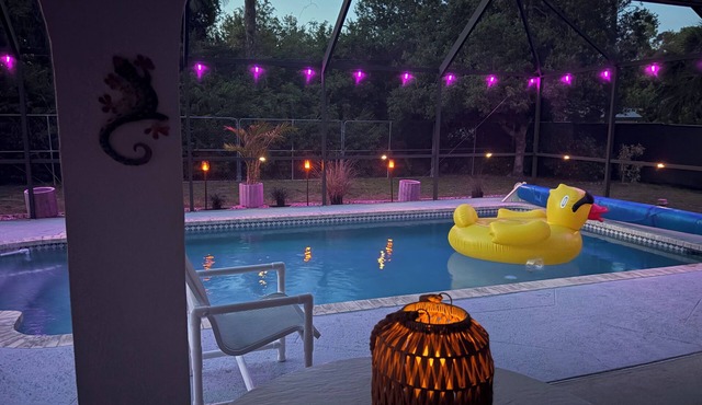 Cozy Dog Friendly, Heated Pool Home in Great Location!