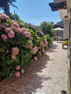 Departamento y posada a pocos metros del mar