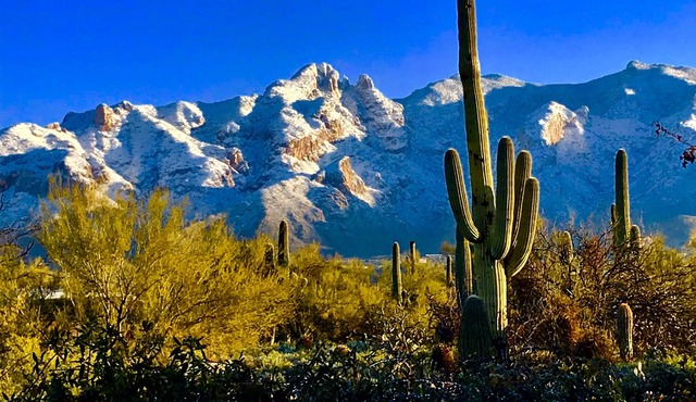 Desert Retreat at Tucson's Catalina Foothills