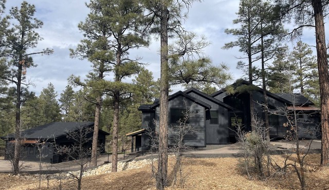 Dream 2024 New 4 Bedroom/4 Bath Custom Home located in Torreon in Show Low, AZ
