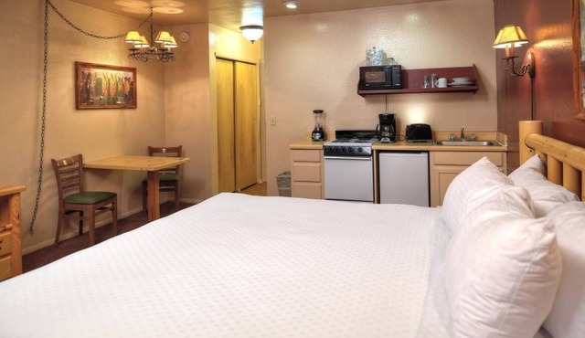 Explore the Desert Landscape! 2 Amazing Studios, Trails, Horseback Riding