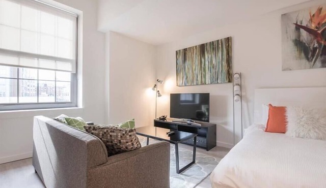 Furnished Delx Studio w/Full Kitchen & Fast WiFi | Boston