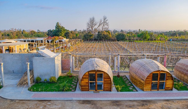 Glamping Toneles y Viñedos en la Ruta del Pisco