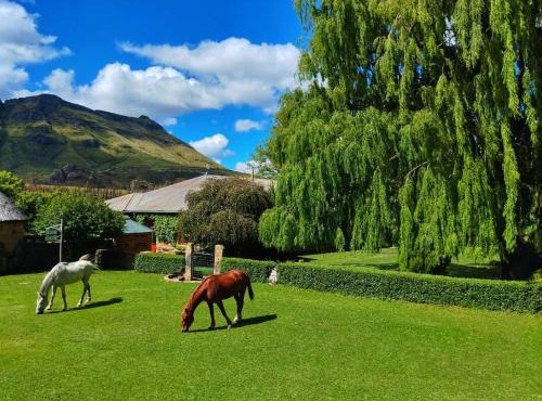 Glengyle Guest Farm