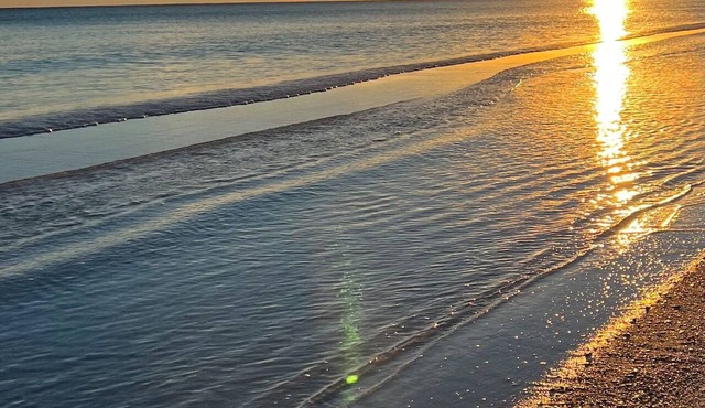 Gorgeous Gulf Front Beach Oasis - Emerald Surf #302