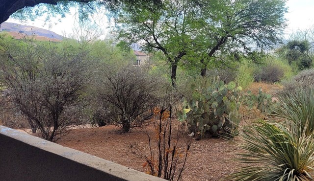 Hacienda in the desert. Tucson flair enhances the charm of this Greens condo