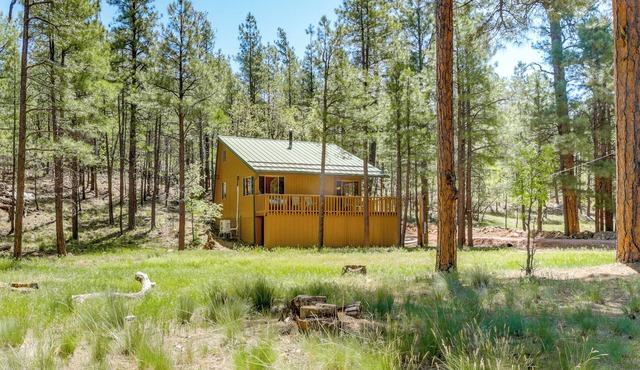 Hike & ATV: Secluded Happy Jack Cabin w/Deck