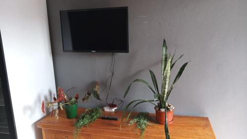 Homeland Guest House and Backpackers