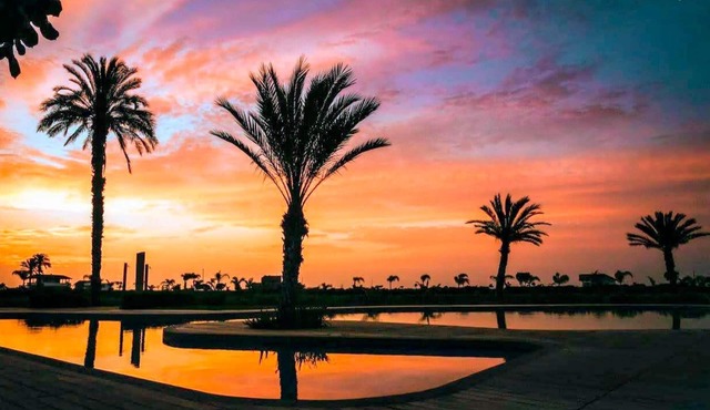 HOP Aruba Exclusiva Oasis y Playa en Chincha