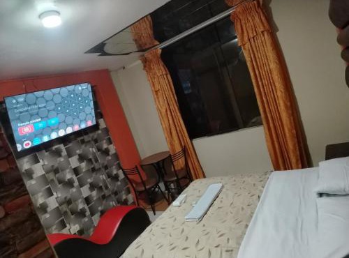 Hostal Lion's