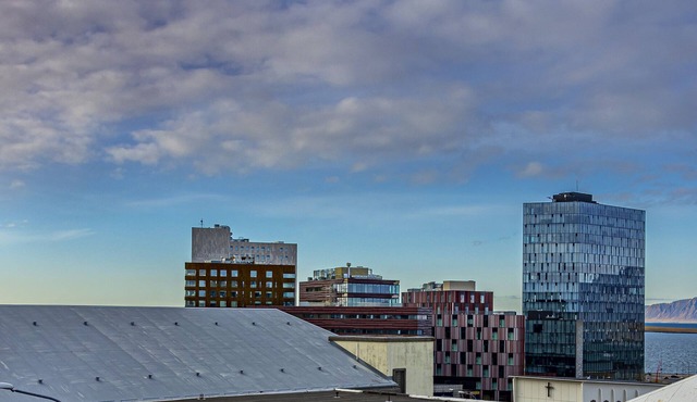 ICELAND SJF APARTMENTS - 503 Your Downtown Reykjavík Retreat