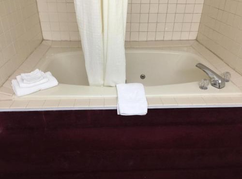 Lake Tree Inn & Suites