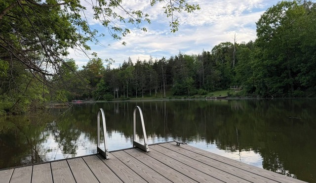 Lakeside family compound and artist's retreat