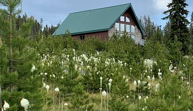 Large mountain home with stunning views of Georgetown Lake and Pintler Range