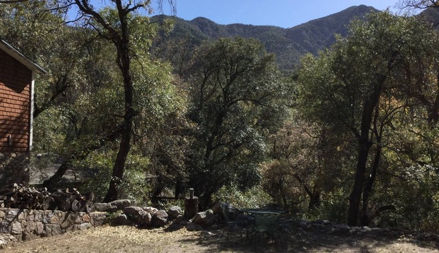 Located in the heart of Madera Canyon, a Southern Az top birding destination