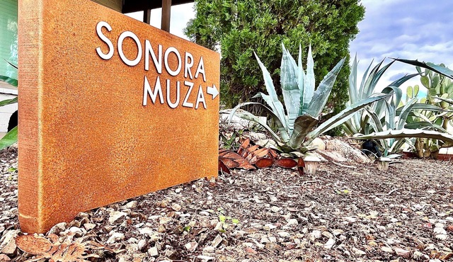 Modern Boho Casita w/Firepit in Historic Central Tucson Neighborhood