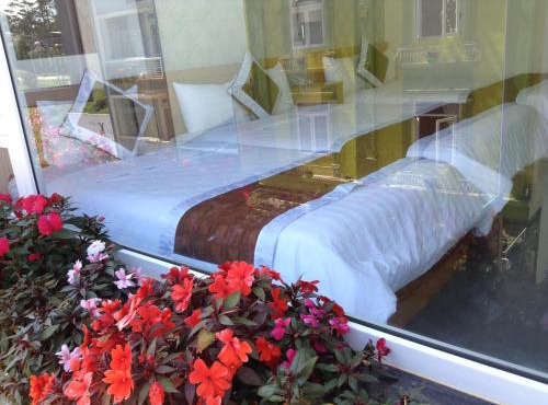 Mr Rot's Secret Hotel
