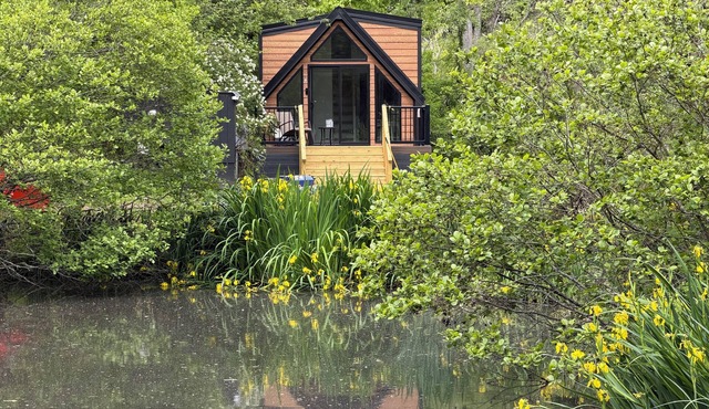 New A-Frame Tiny Home - Private Pond, Deer at Dusk - Asheville Mountain Escape
